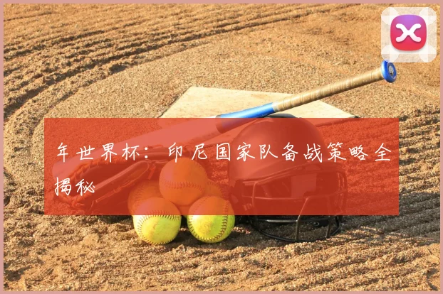 年世界杯：印尼国家队备战策略全揭秘