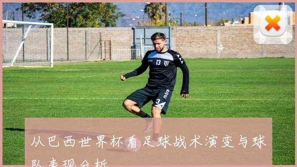 从巴西世界杯看足球战术演变与球队表现分析