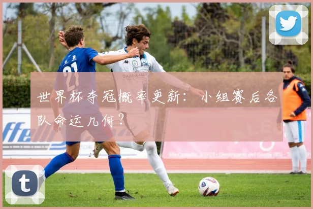 世界杯夺冠概率更新：小组赛后各队命运几何？