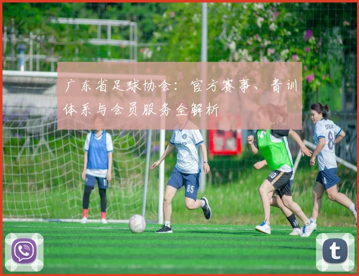 广东省足球协会:官方赛事、青训体系与会员服务全解析