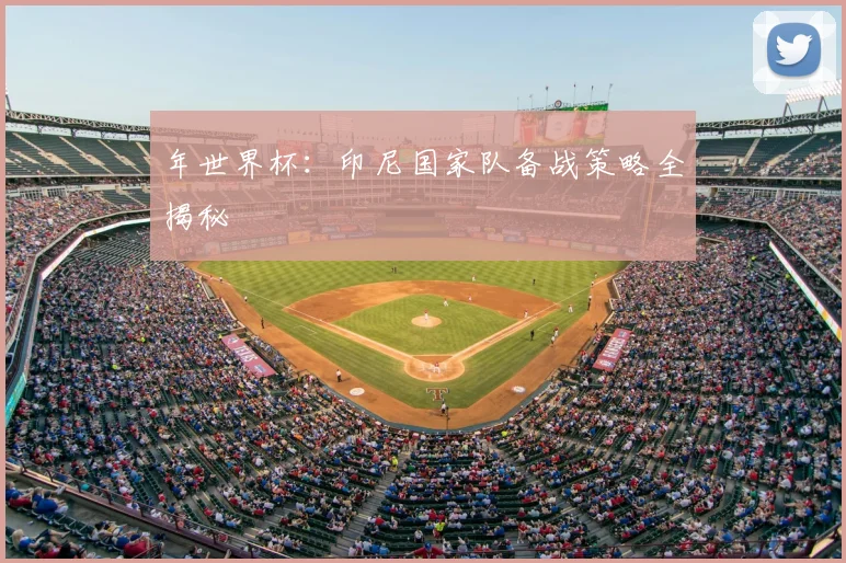 年世界杯：印尼国家队备战策略全揭秘